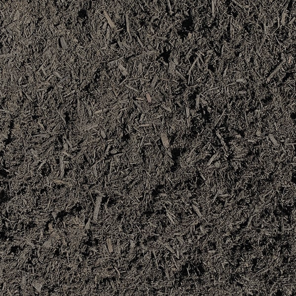 mulch can help retain moisture in the soil by reducing evaporation